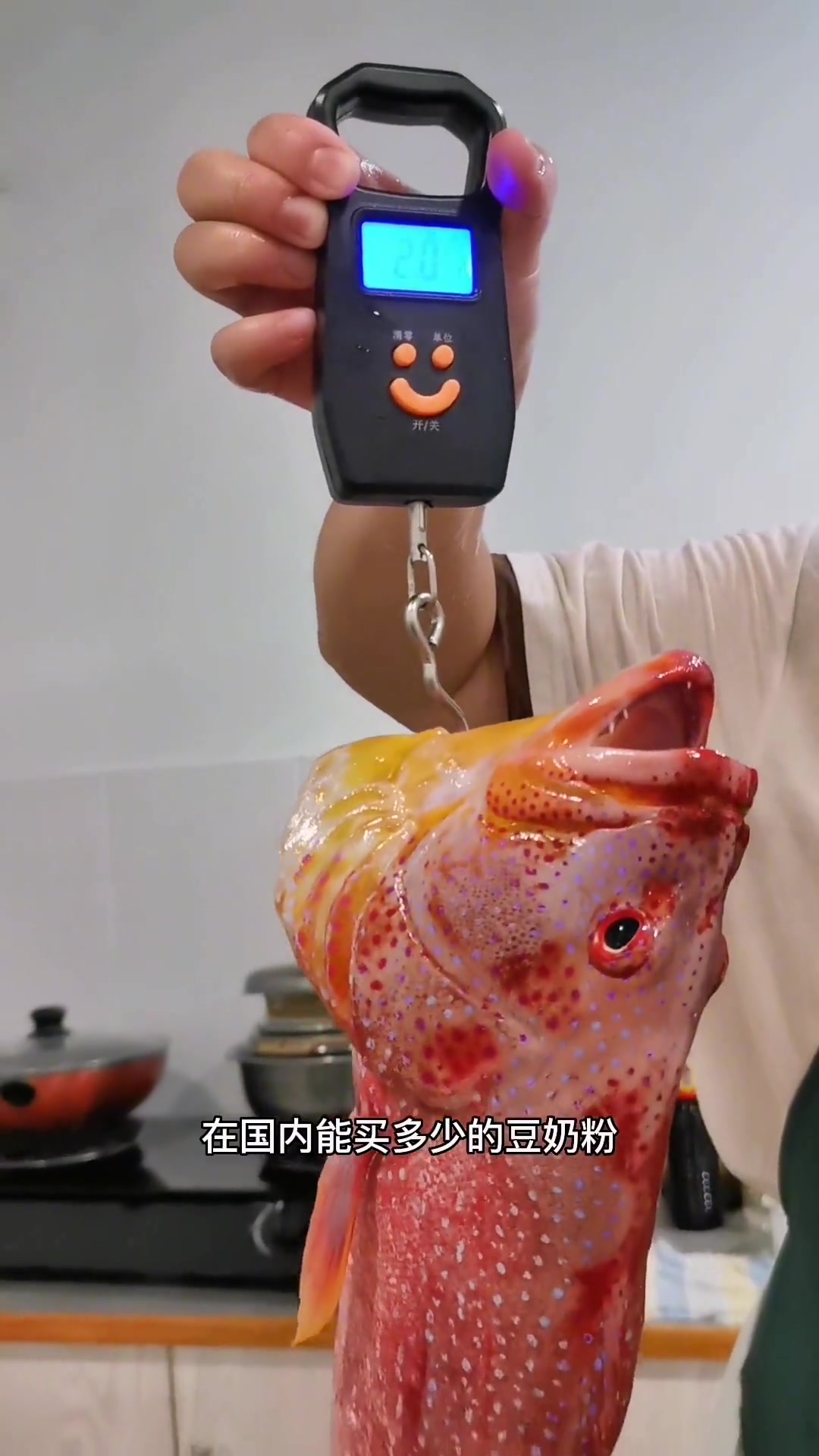 用豆奶粉换燕尾斑，简单烹饪享美味晚餐