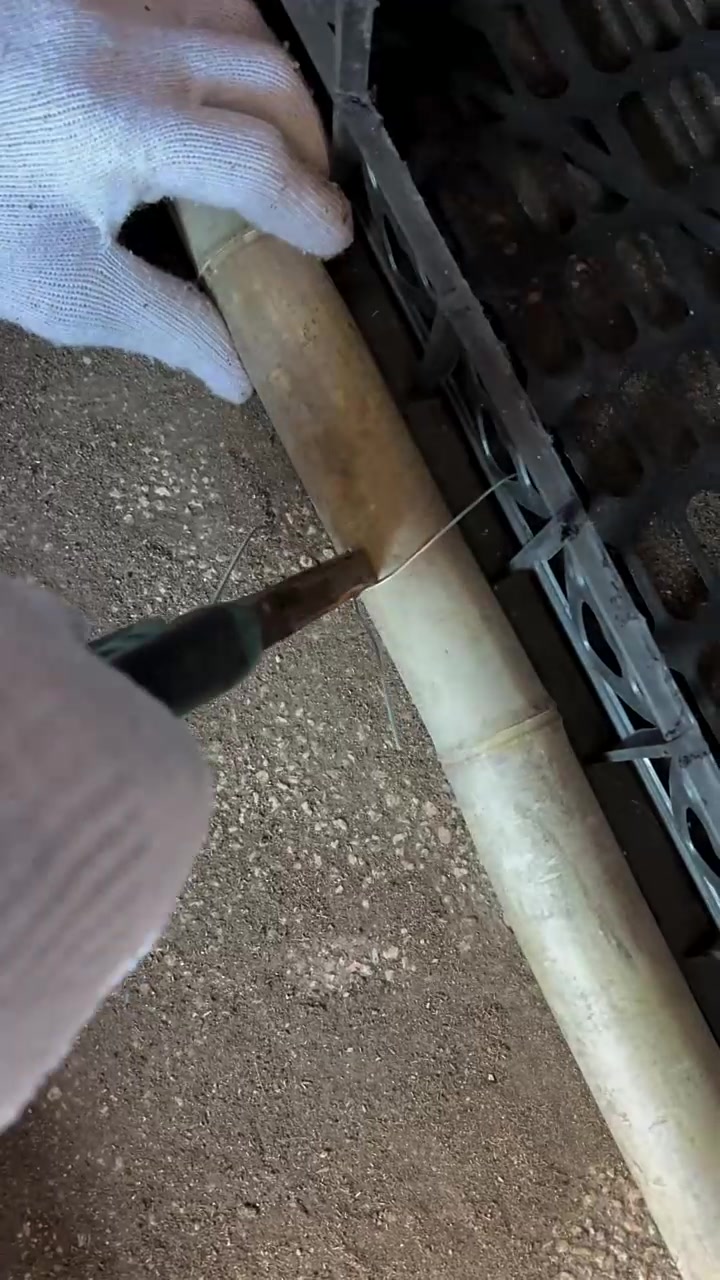 今天和妈妈一起用废旧的水果筐，打造成了下蛋鸡窝，让我们一起期待成果吧