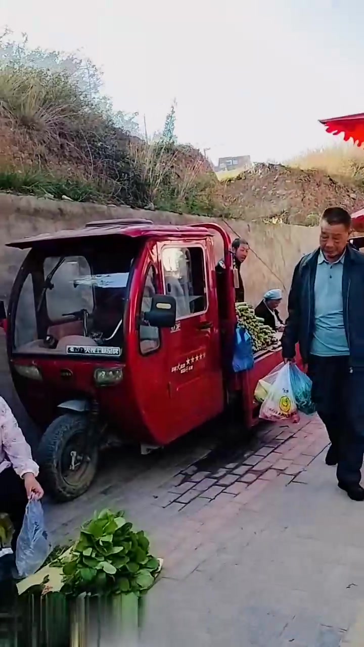 甘肃省陇南市宕昌县菜市场。现在野菜越来越少了，你们今年吃野菜了吗？