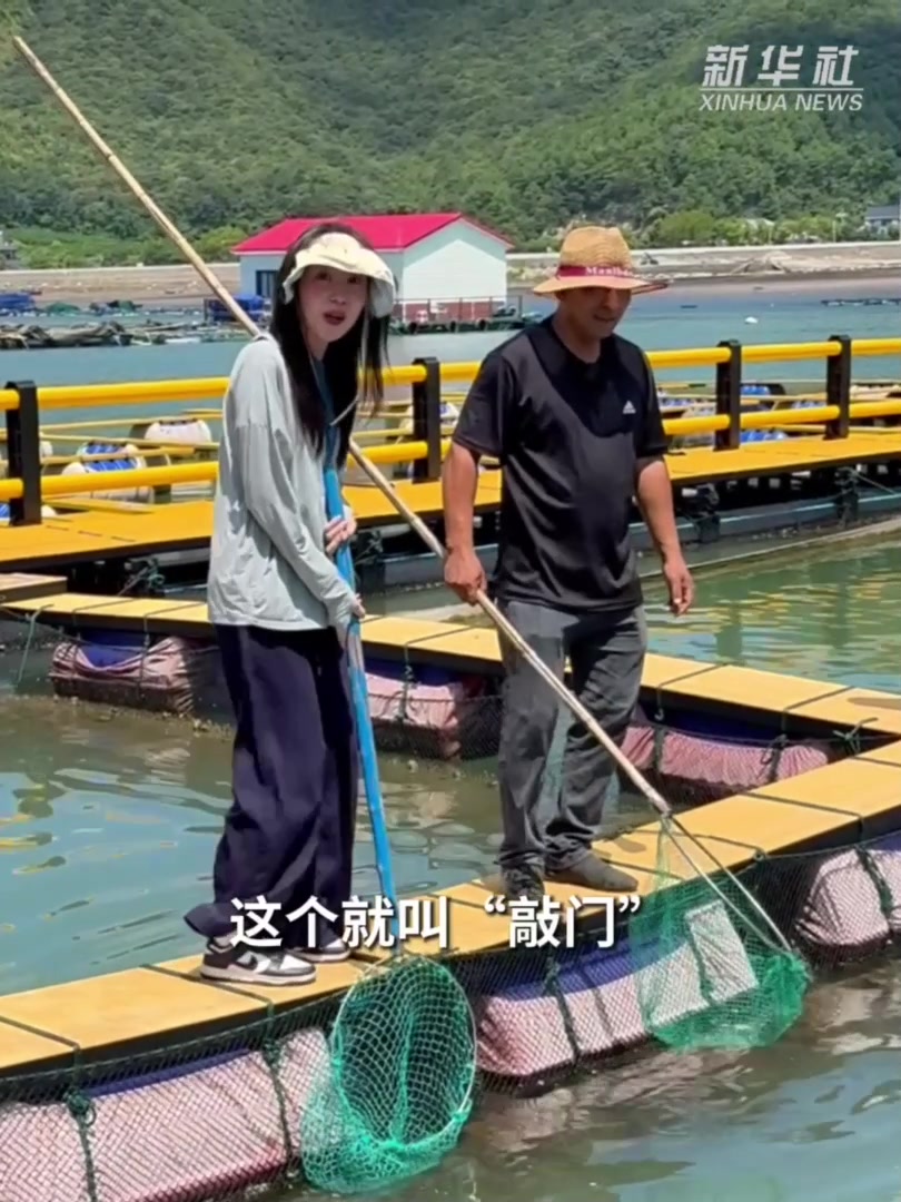 活力中国调研行|这个村把黄鱼养成“全村希望”