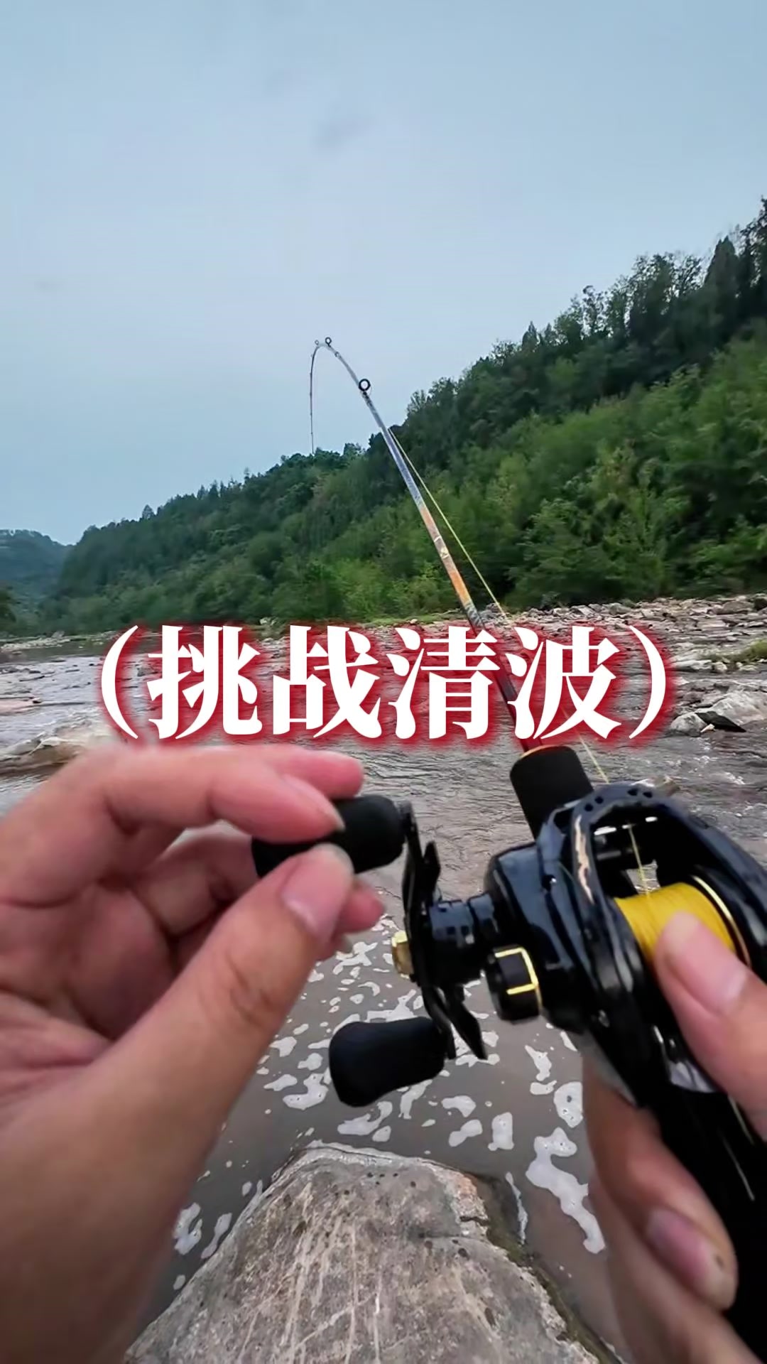 梦寐以求的大清波鱼,今天总算是被我钓上来了