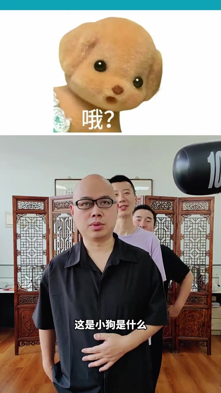 这些表情包叫什么