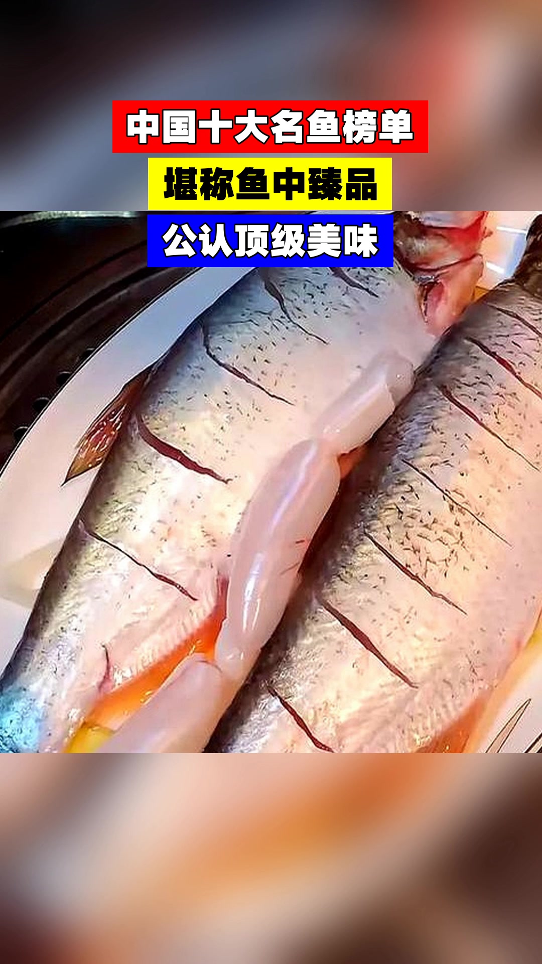 中国十大名鱼榜单，堪称鱼中臻品，公认顶级美味