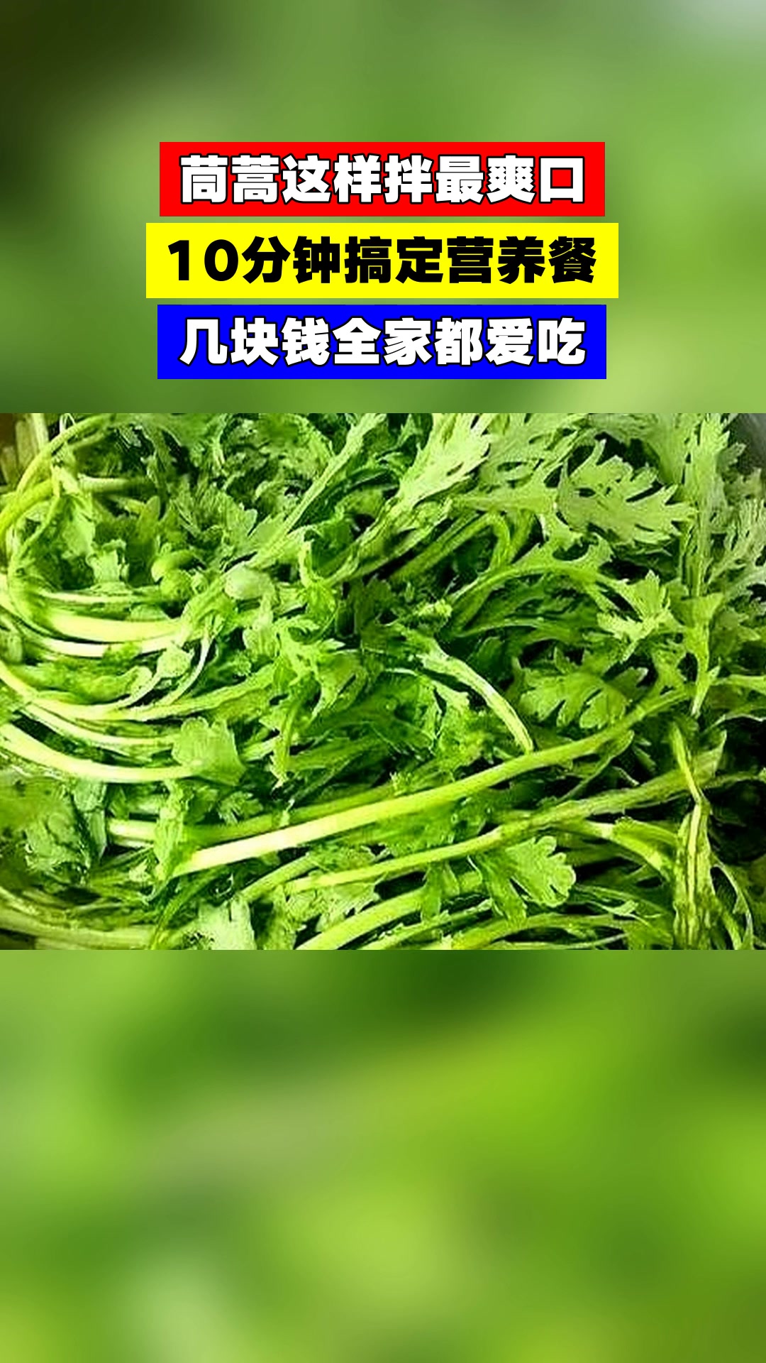 茼蒿这样拌最爽口,10分钟搞定营养餐,几块钱全家都爱吃