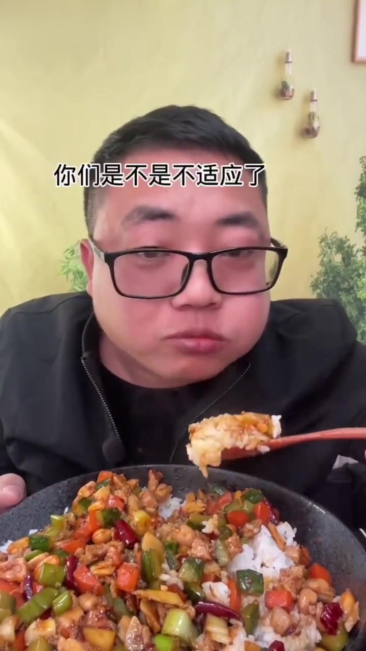 宫保鸡丁盖饭，正经盖饭