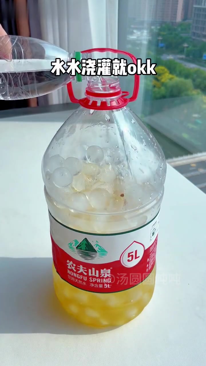 当同事喊我上班带一大桶海盐冰抹茶时