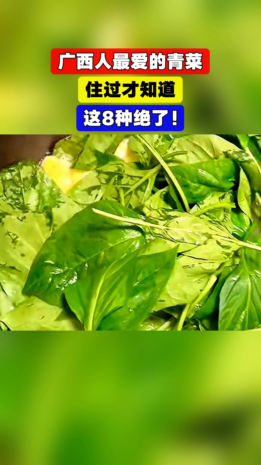 广西人最爱的青菜,住过才知道,这8种绝了!