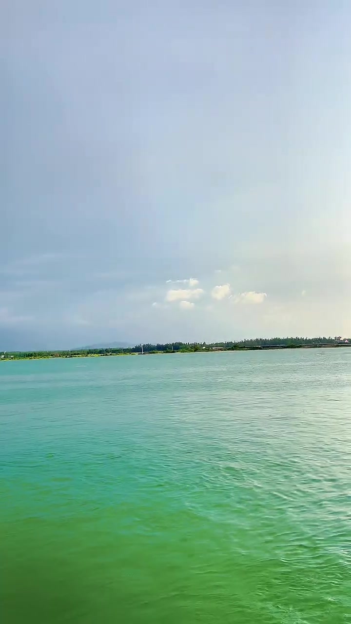 每次钓鱼都看到很多泥猛鱼，今天特地搞个鱼笼去收上来！