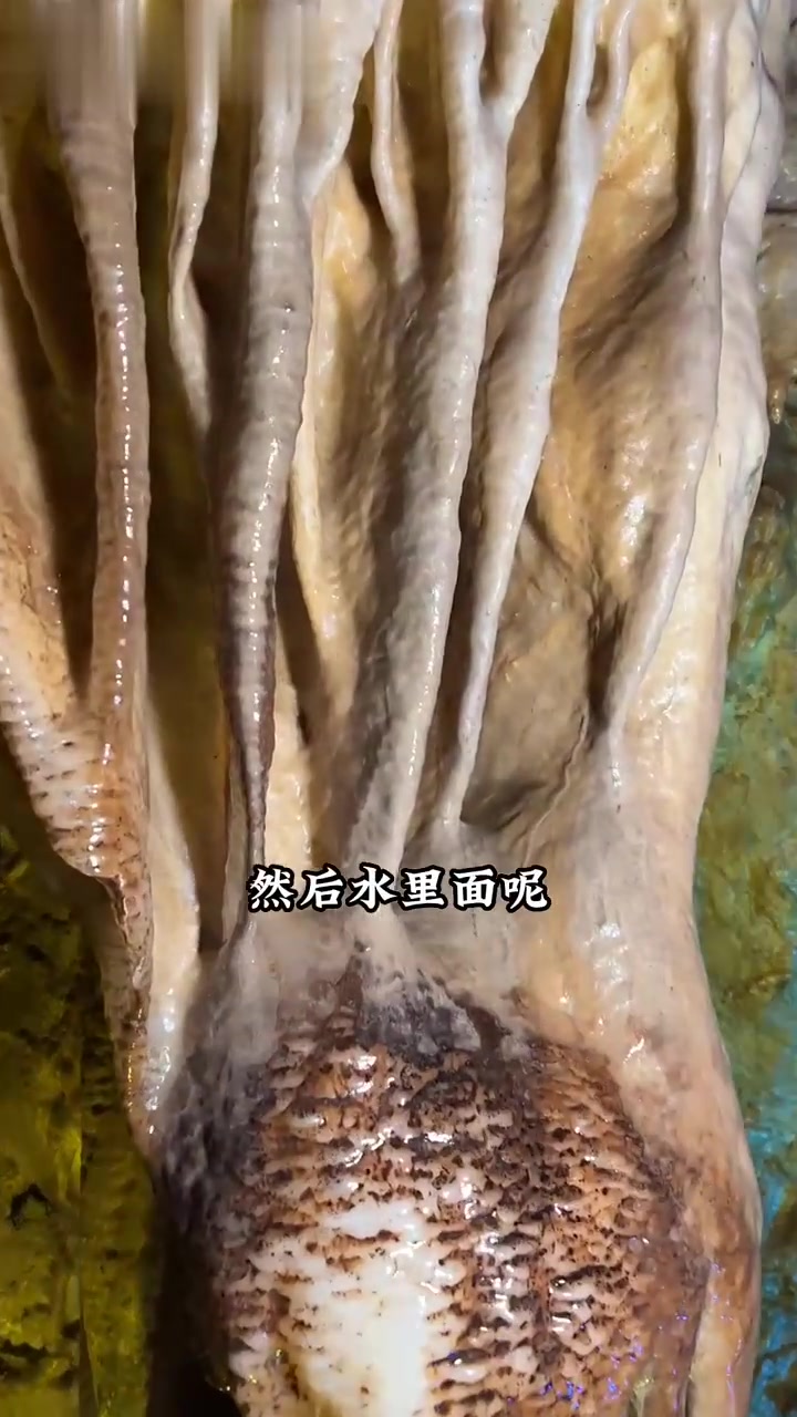 真的没有想到在河南竟然能够看到这么美的亿年洞穴，鸡冠洞真的不错，距离老君山也不远，来栾川不