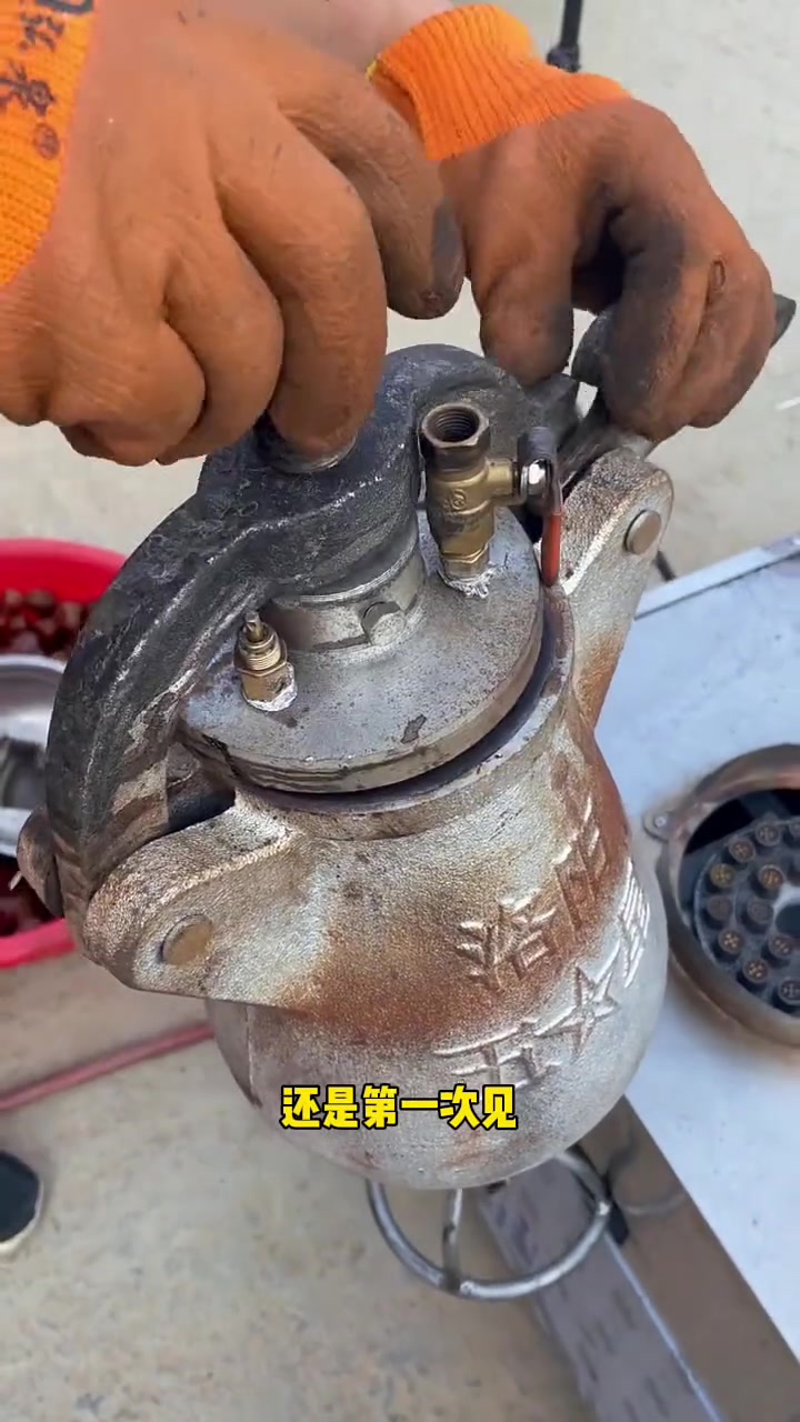 山西运城街头《爆板栗》还是第一次见,你们见过吗?