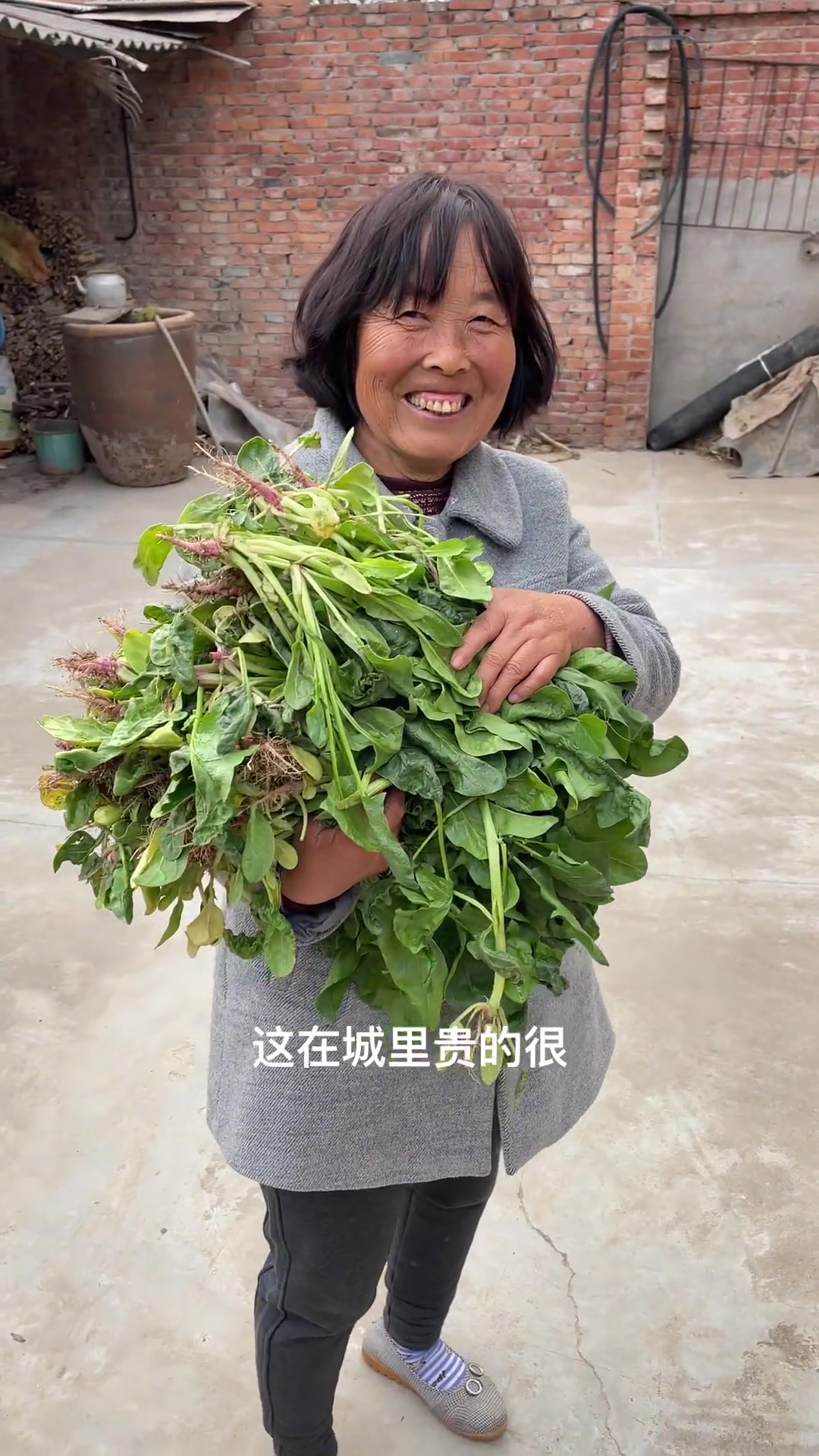 从这一抱菜能体现到我村子的凝聚力