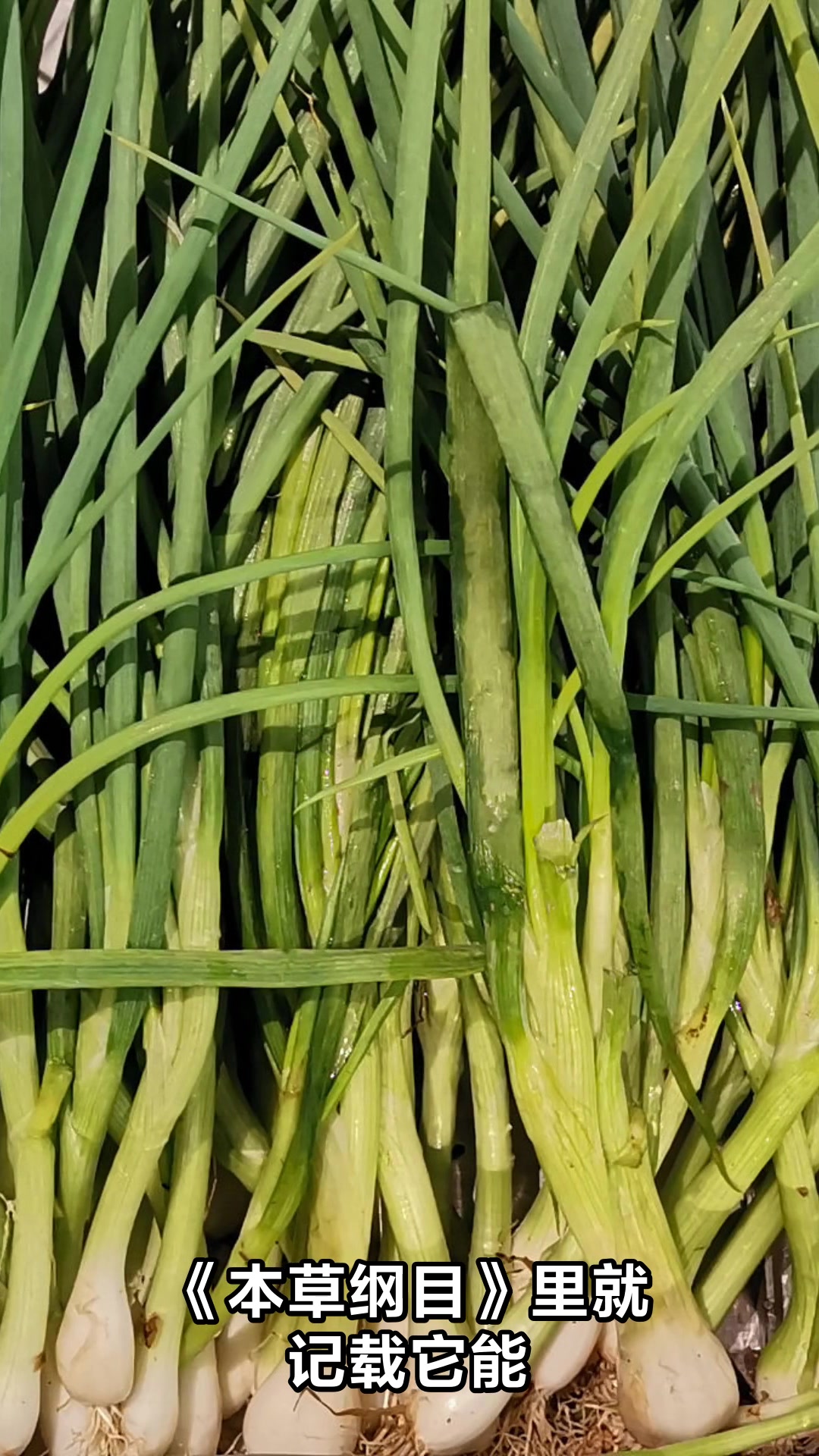 补肾蔬菜第一名原来是它