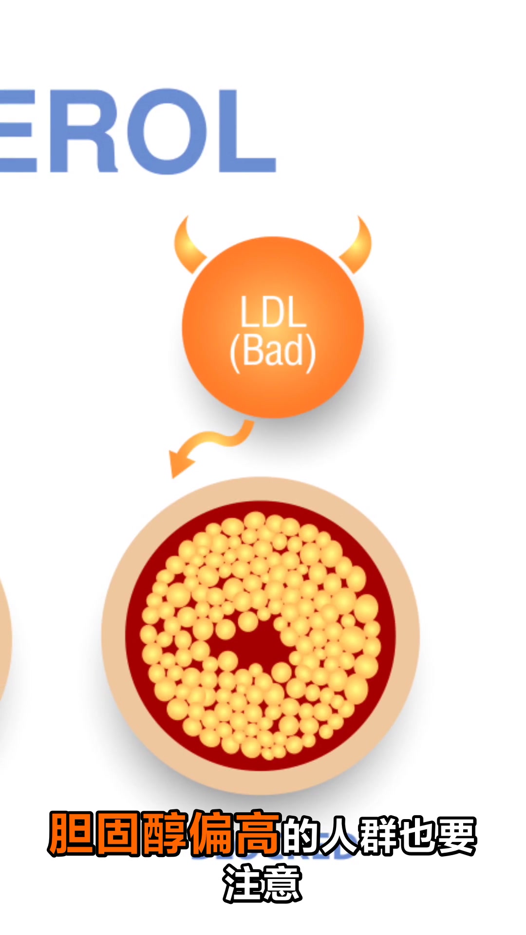 哪些人不宜吃鹅蛋