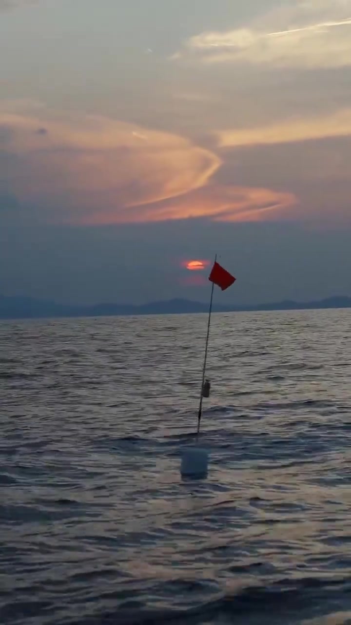 出海！披霞而出，披星来归。——海鳗鱼叁