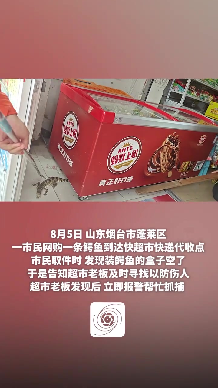 快递代收点惊现“越狱”鳄鱼，消防员出手擒获