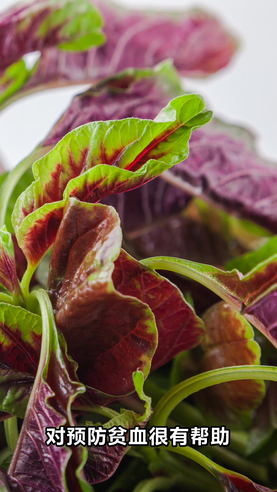 苋菜的营养价值与功效大揭秘