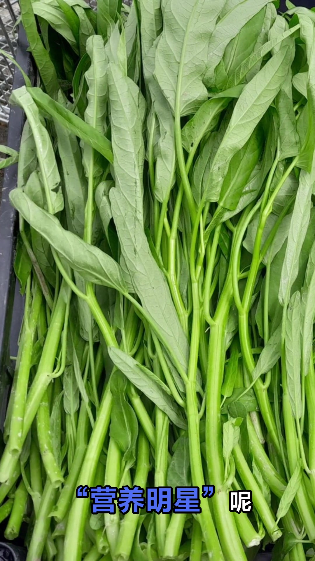 空心菜的好处和坏处你知道吗