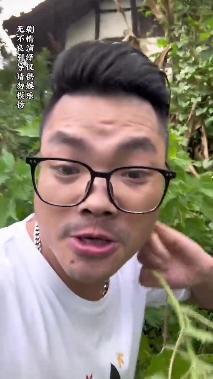 清香四溢的四川小野菜！