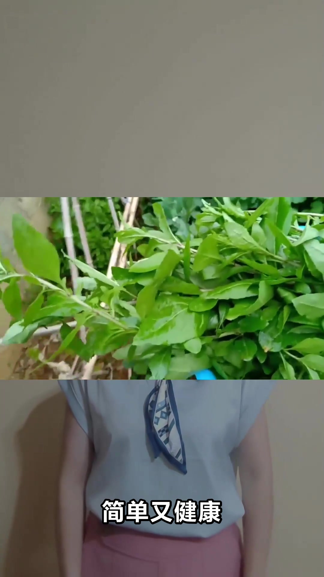 枸杞叶瘦肉汤的养生功效大揭秘