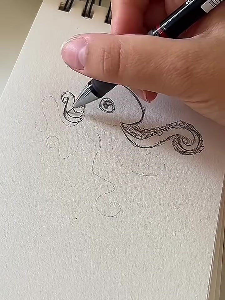 绘画，手绘，纸绘，速写，素描，图形，零基础绘画教程，插画教程，章鱼