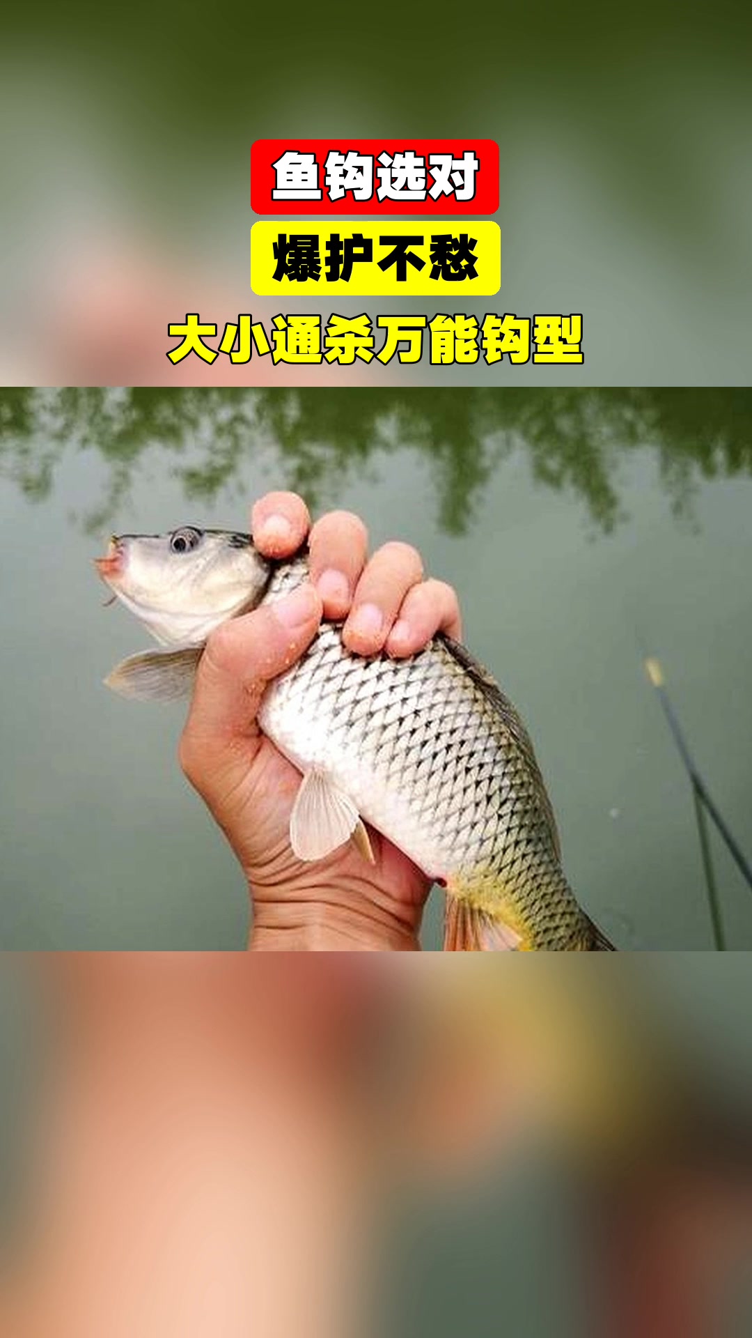 鱼钩选对,爆护不愁,大小通杀万能钩型