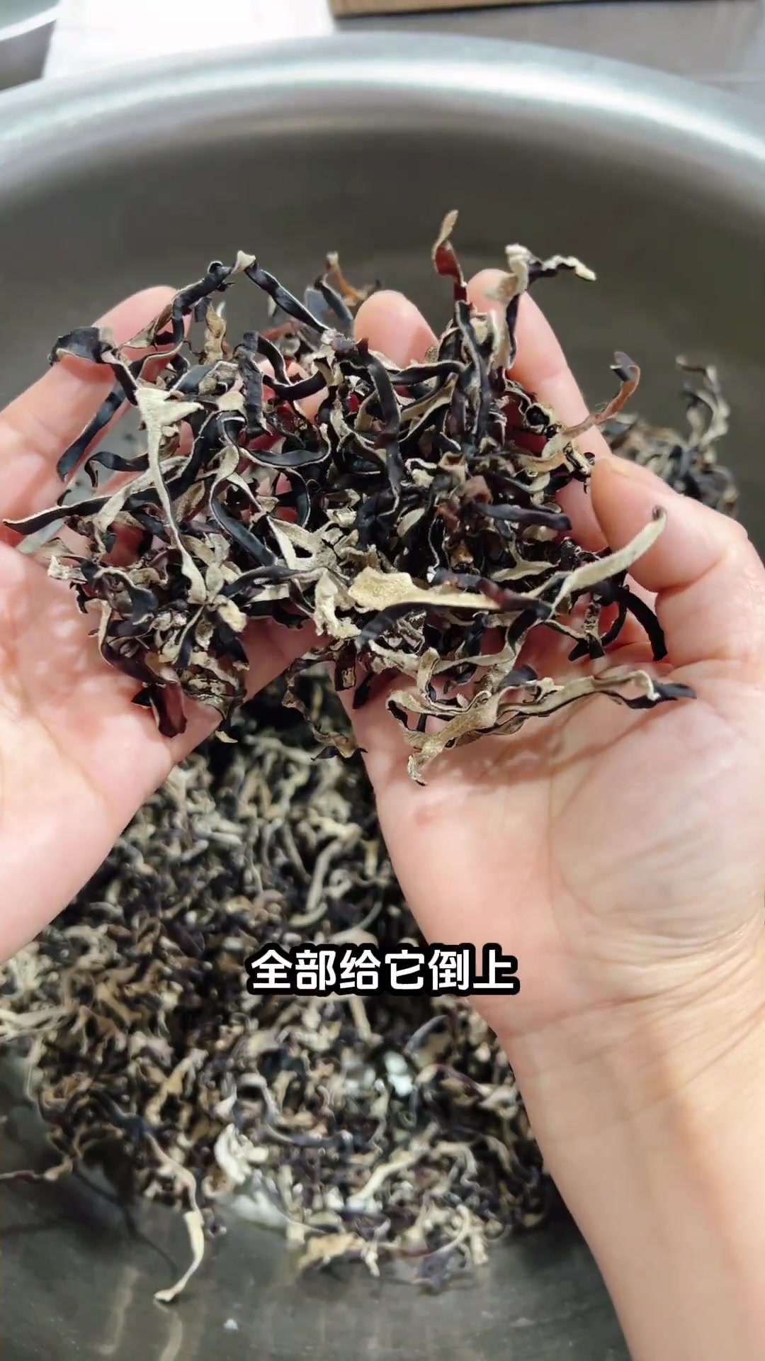 《凉拌木耳丝》脆嫩爽口,很受欢迎,免切没有根的头茬白背毛木耳丝,肉很厚实又脆又嫩,炒着吃拌