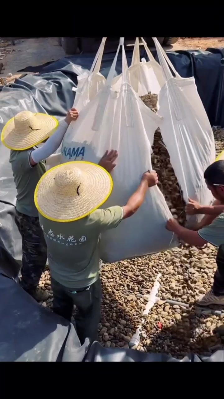和白饭鱼老师联手打造25米长的溪流鱼池，结尾有彩蛋，一定要看到最后