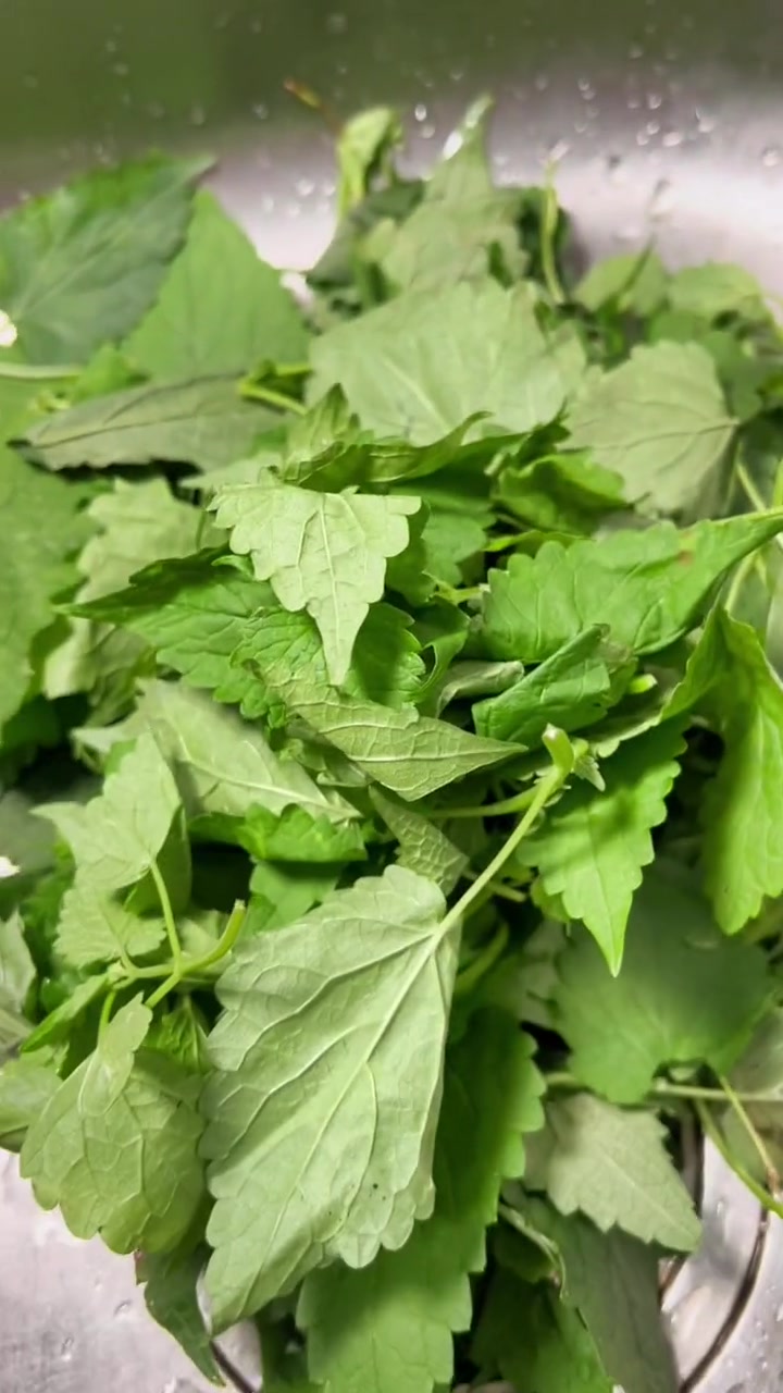 船钉子，野生江鱼，也是冷水鱼，可以干炸可以做鱼酱，东北长白山下的早市，热闹平凡的日子