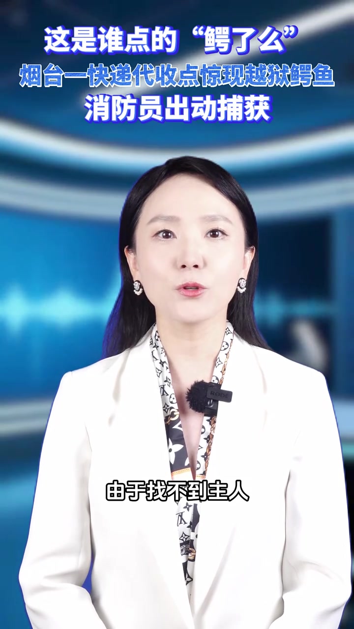 山东烟台一超市快递代收点，一条网购的鳄鱼竟不慎逃脱。超市老板发现后，赶忙报警求助。消防员一