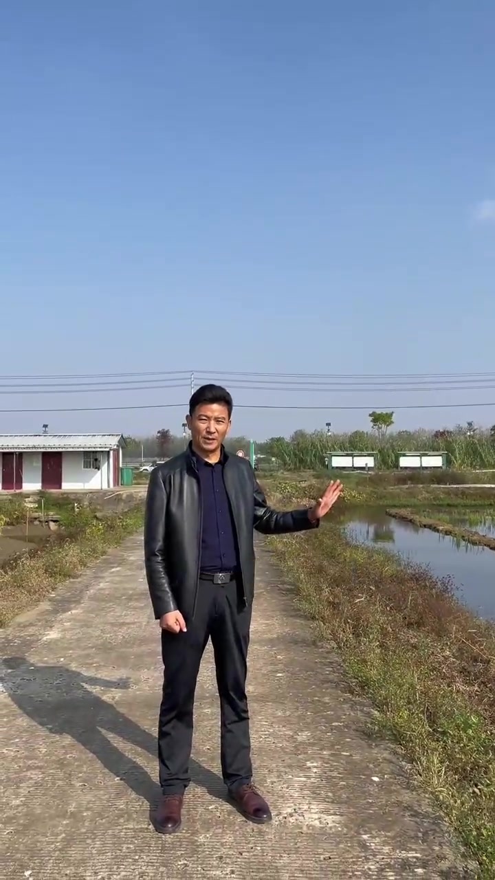 早稻茬和晚稻茬龙虾种苗，到底该如何投放