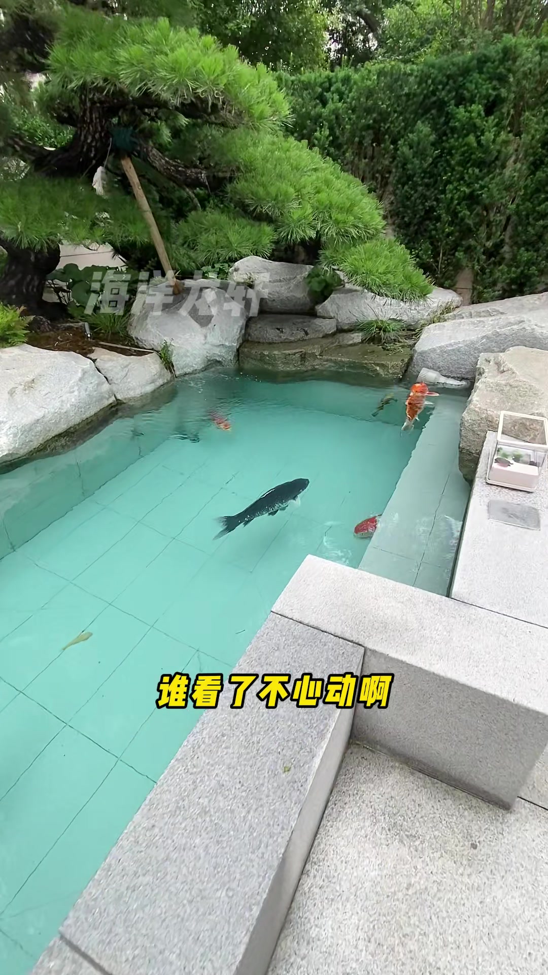 自然搬进家里的亚克力天井鱼池案例