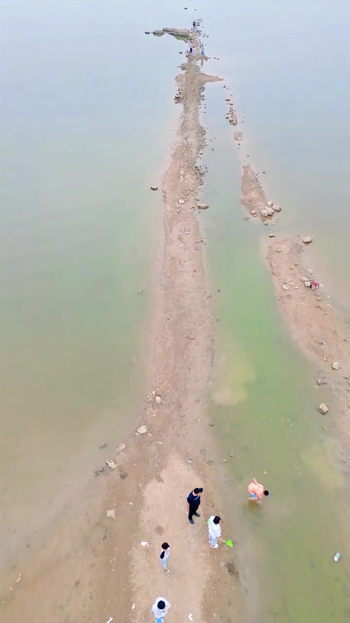 安阳汤河国家湿地公园,可观河露营还免门票
