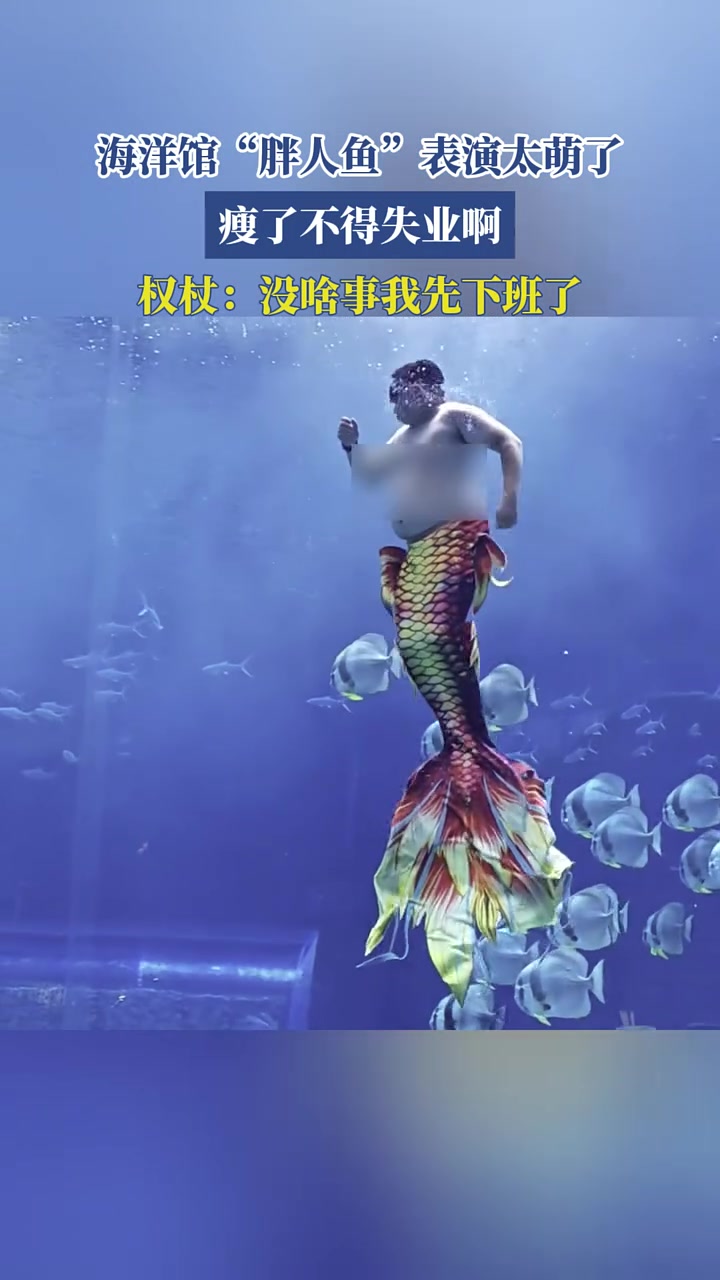海洋馆“胖人鱼”表演太萌了，瘦了不得失业啊，权杖：没啥事我先下班了！海洋馆 美人鱼