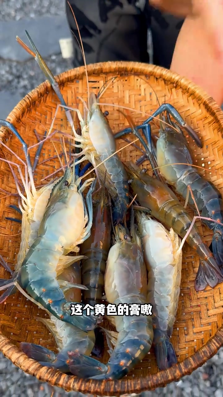 入秋推荐，罗氏虾刺身