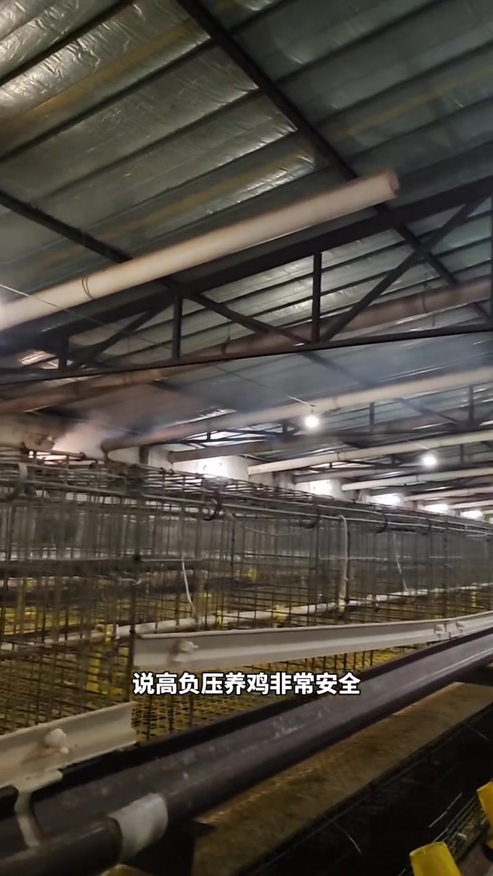 笼养肉鸡高负压好？还是低负压好？