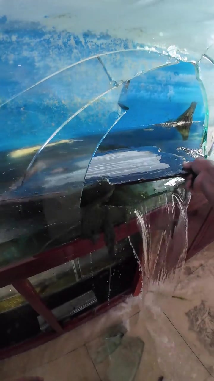 废弃大楼的鱼缸里竟然有条金鱼，好神奇