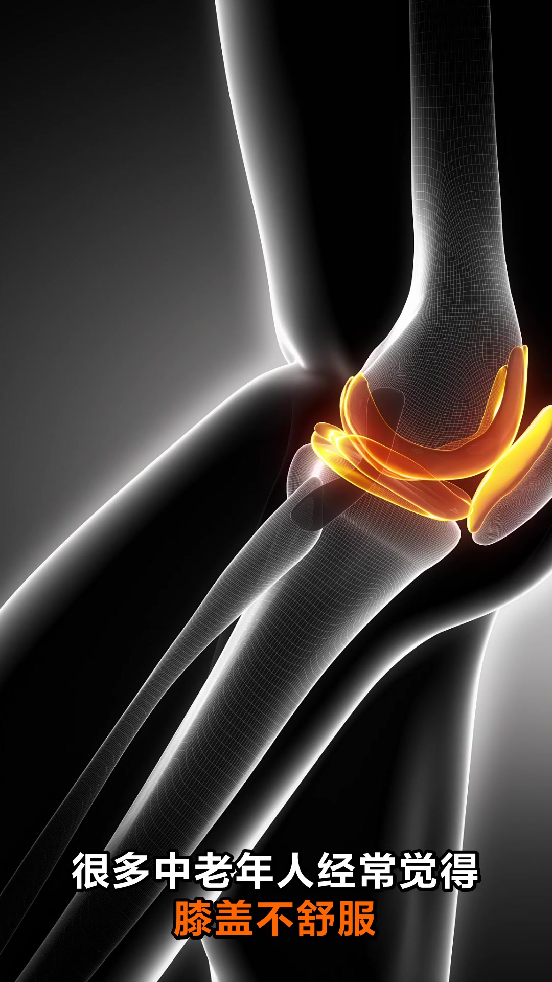 鳕鱼胶的神奇功效与作用揭秘