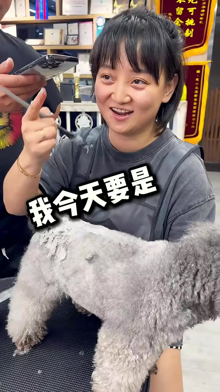 恐龙？鳄鱼？蜡笔小新！蜡笔小新来啦