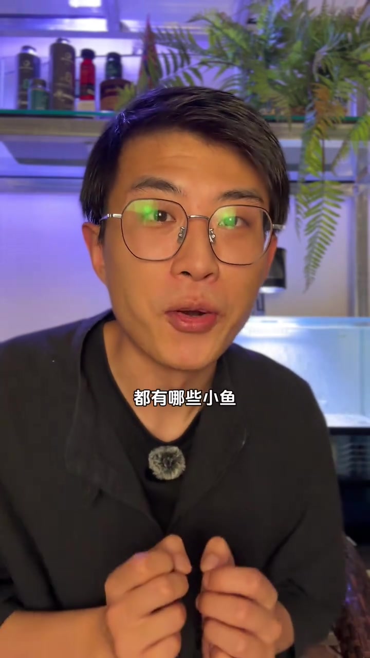 鱼缸里能群游的小鱼有哪些