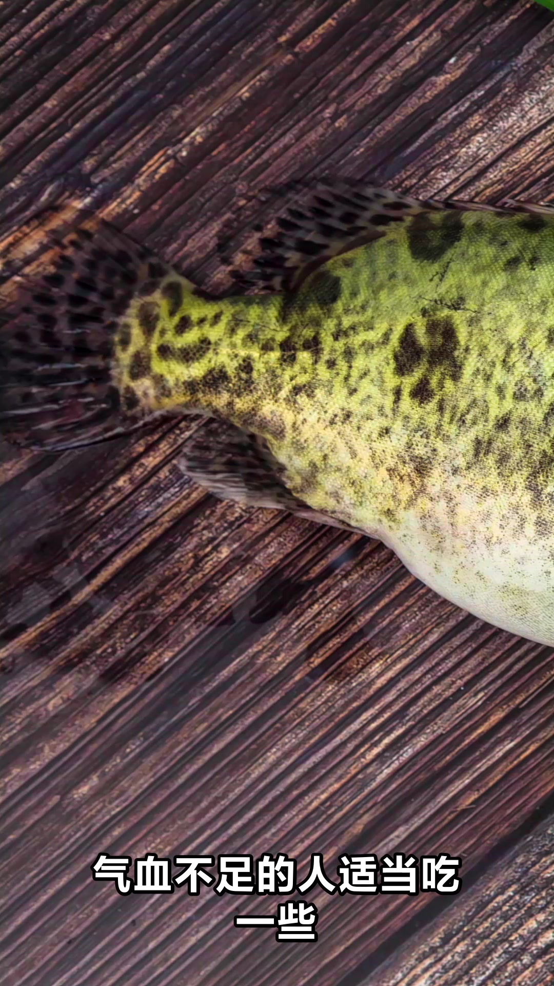 鳜鱼的营养功效与食用价值