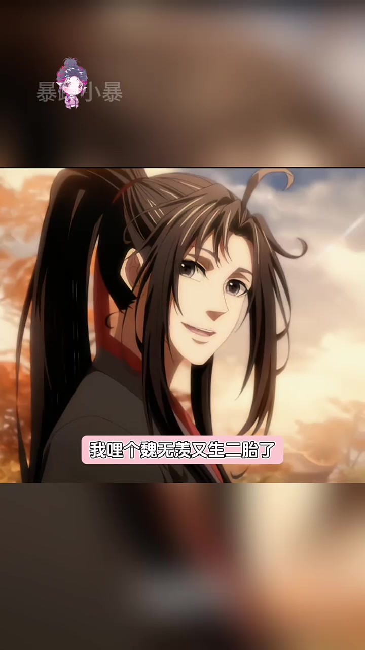 不愧是墨香的兵,全麻了都放不下这几对 天官赐福 魔道祖师 花怜 忘羡 素材源 已授权