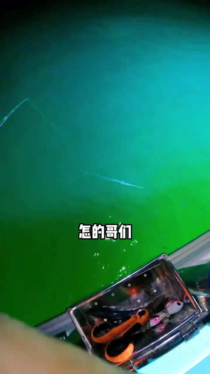 听说渤海湾出现大量刀鱼风暴，那么好，化身戏刀者