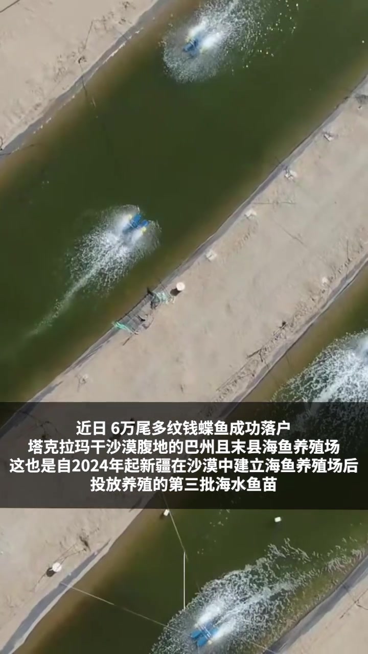 坐着飞机进新疆,6万多尾海洋鱼沙漠“安家”