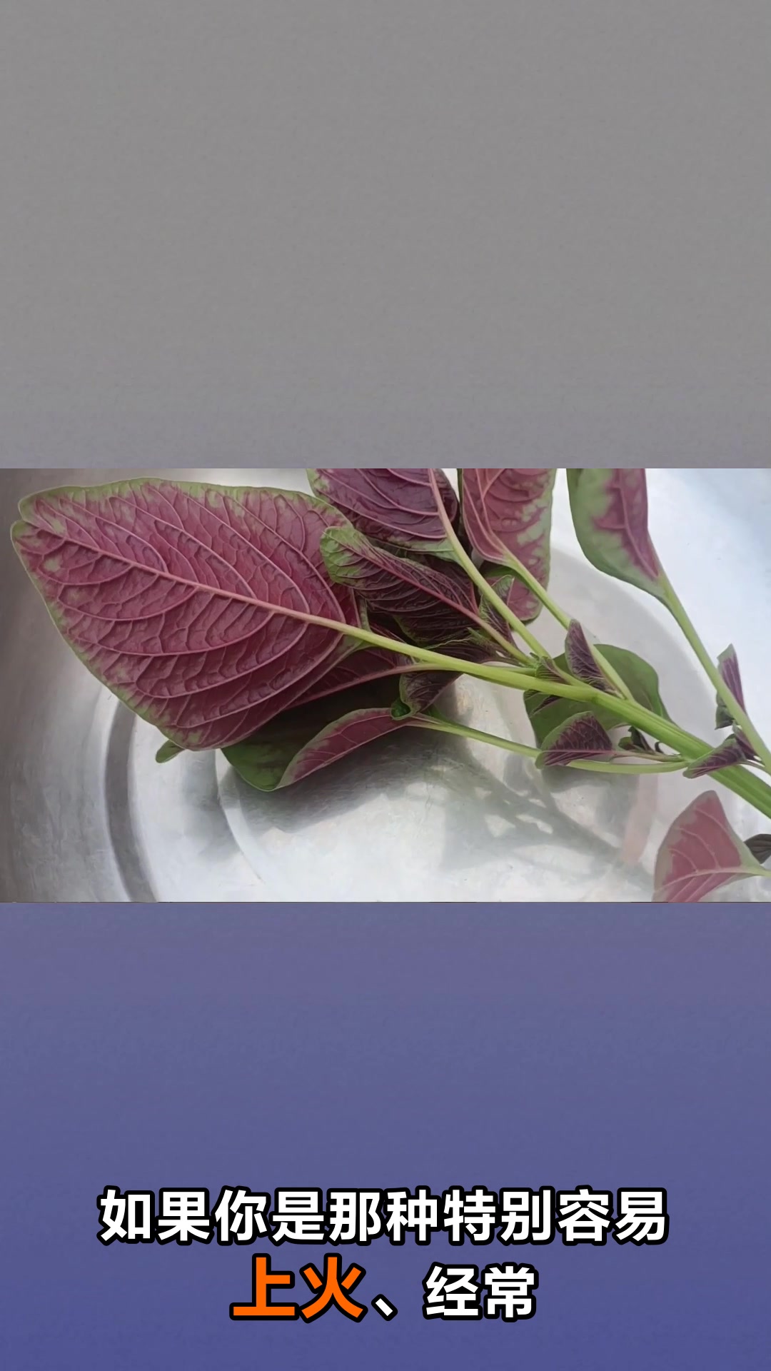 红苋菜是寒性还是热性看完就懂