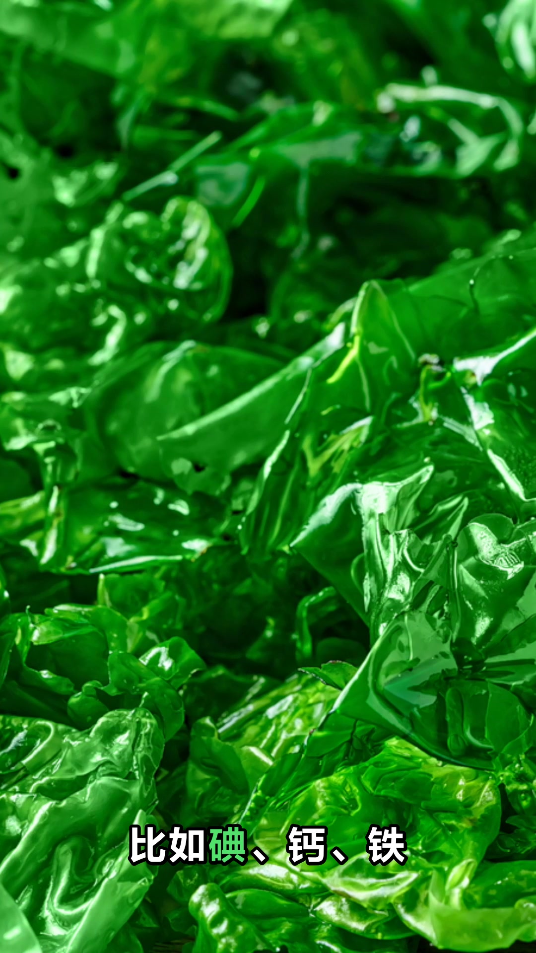 海白菜的神奇功效与作用你知道吗