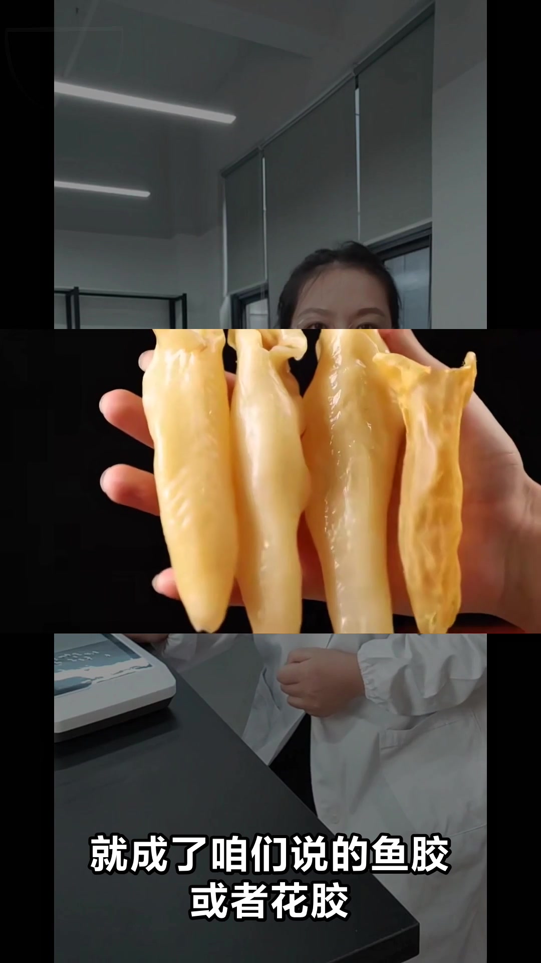 鱼胶和花胶到底有啥区别