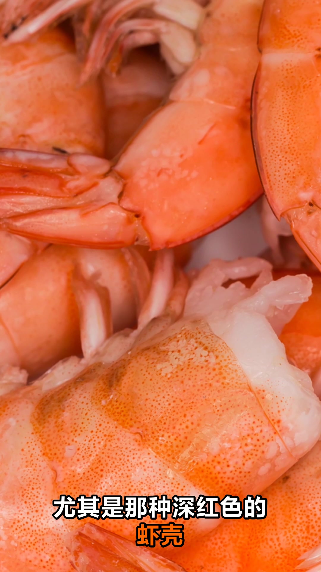 虾壳营养高别浪费