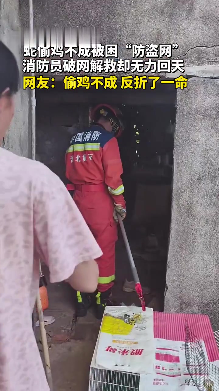 菜花蛇偷鸡不成被困“防盗网”消防员破网解救却无力回天