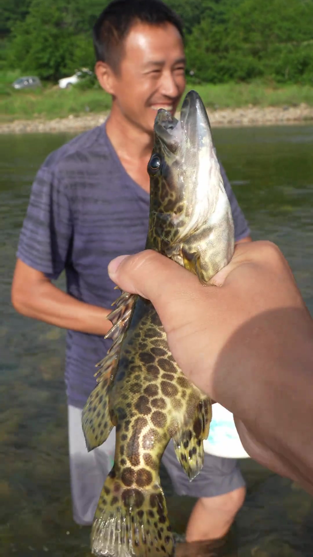 抓河鱼 今天解锁了一堆新鱼种太过瘾了 抓鱼 星乡村星农人 农村生活 抓鱼摸虾 东北