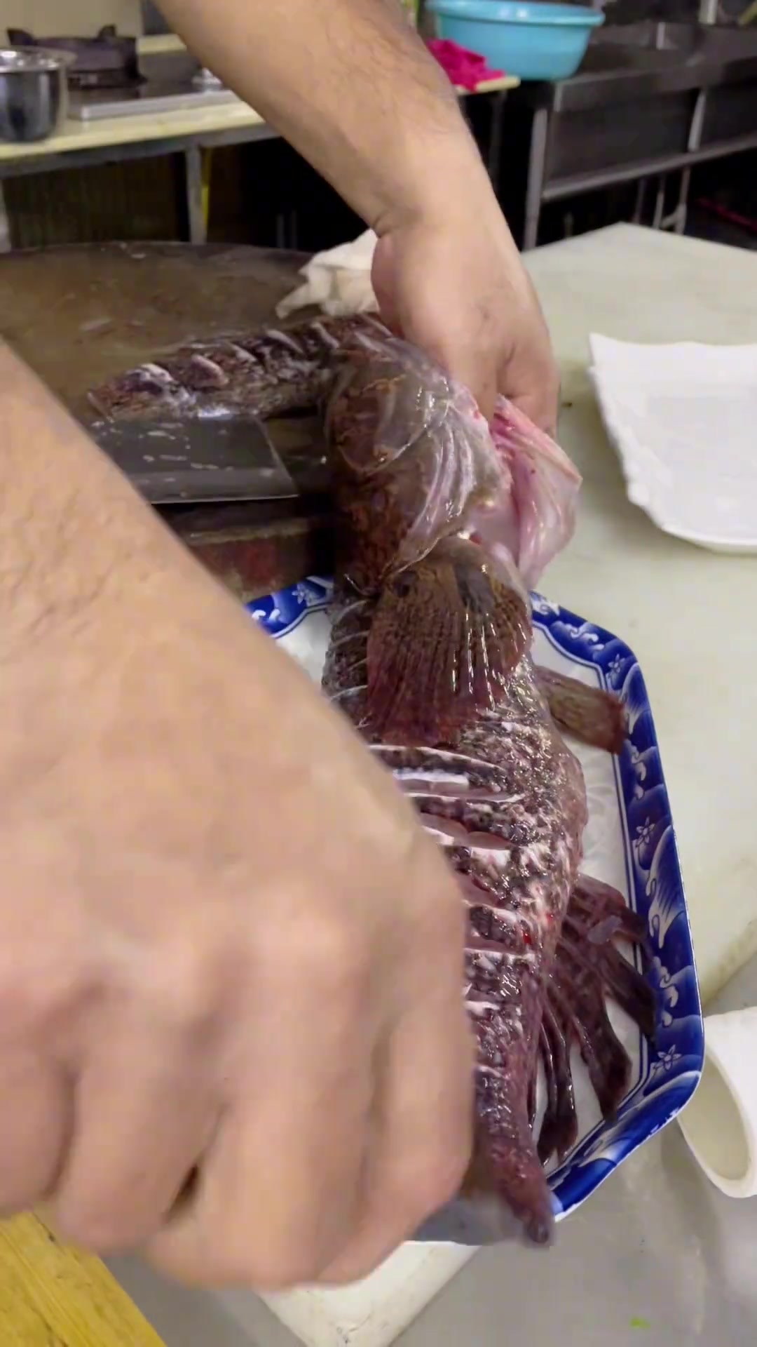 第一次吃到这么大的沙峰鱼，太给力了